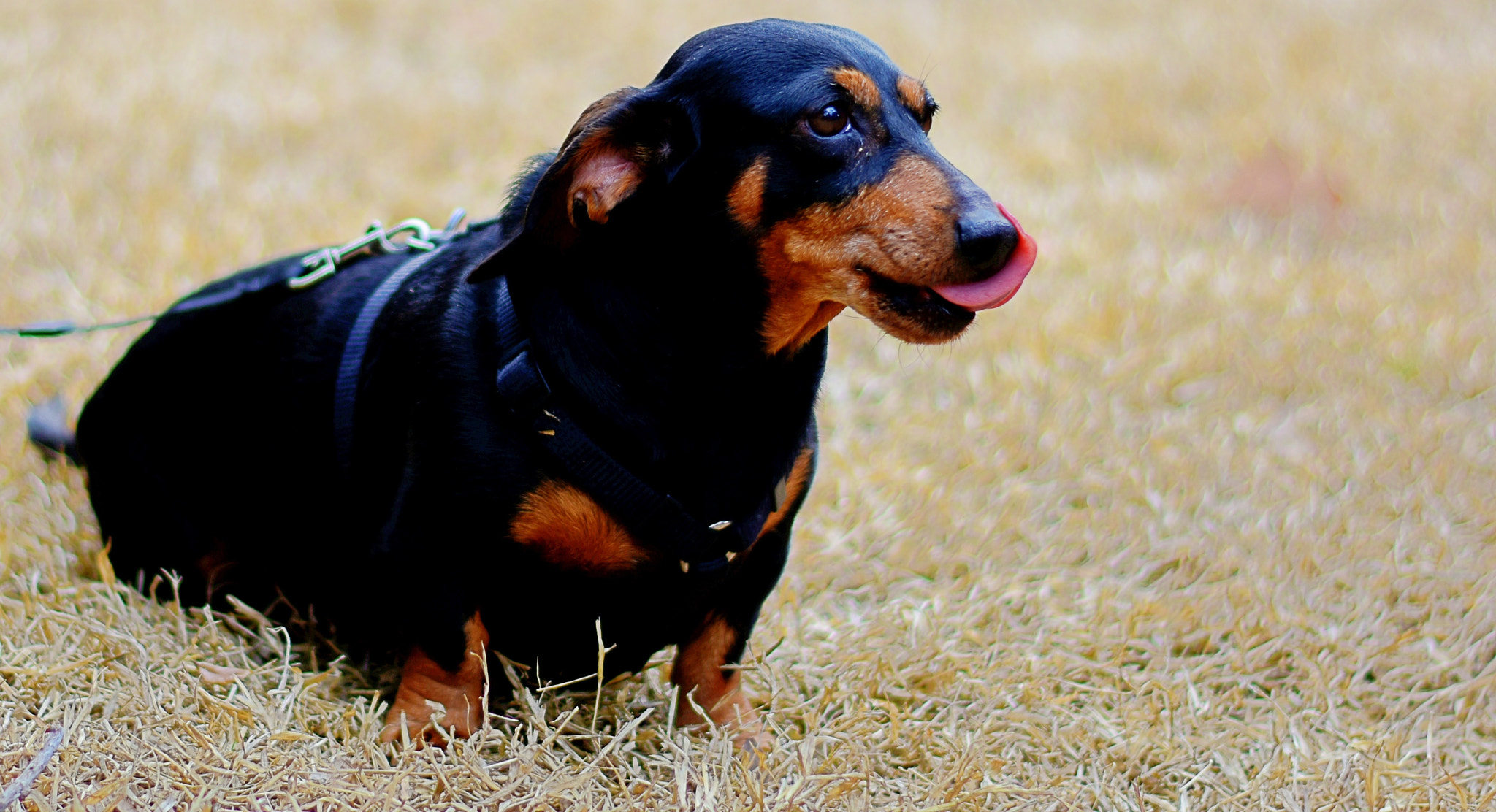 Nikon D3400 + Nikon AF-S Nikkor 50mm F1.8G sample photo. Dsc photography