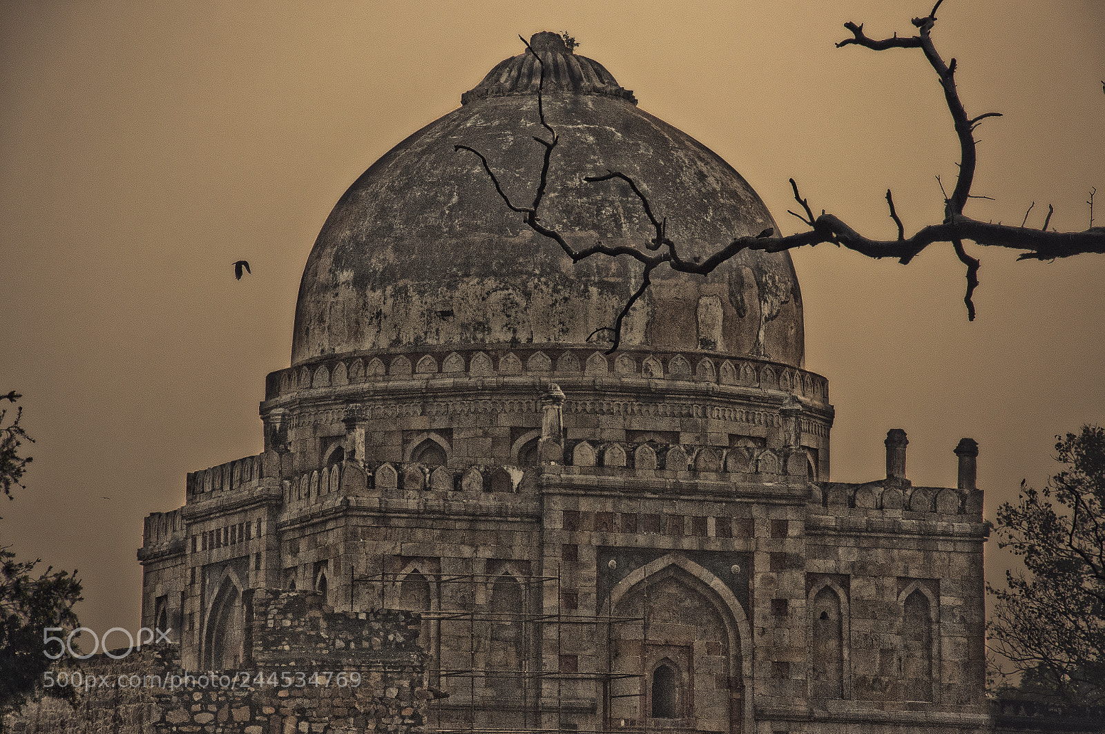 Nikon D90 sample photo. The tomb in sunset photography