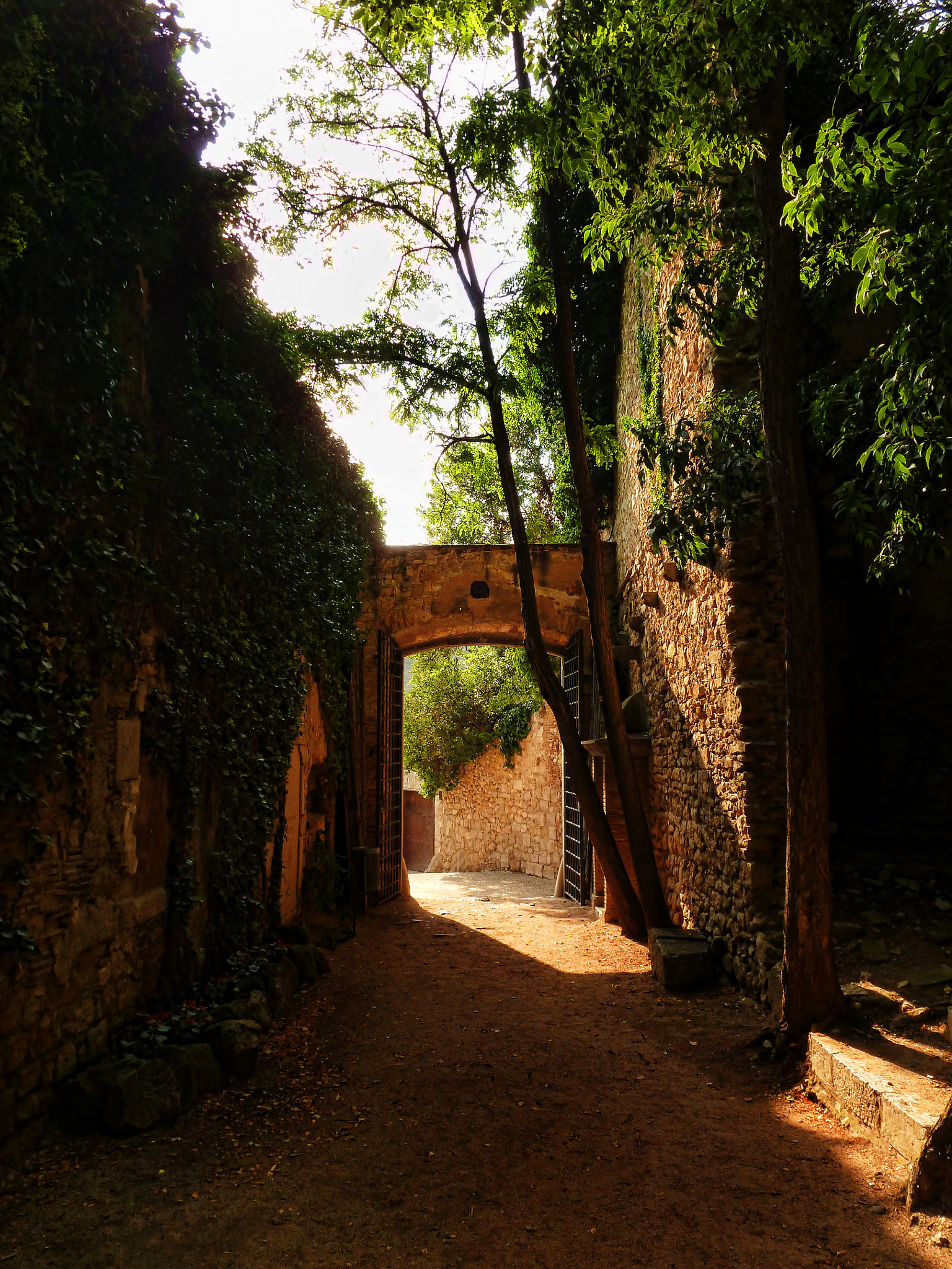 Panasonic Lumix DMC-ZS8 (Lumix DMC-TZ18) sample photo. Romantic ruins photography