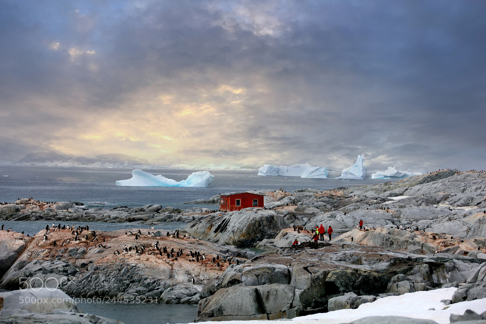 Canon EOS 5DS R sample photo. Antarctica 10 photography