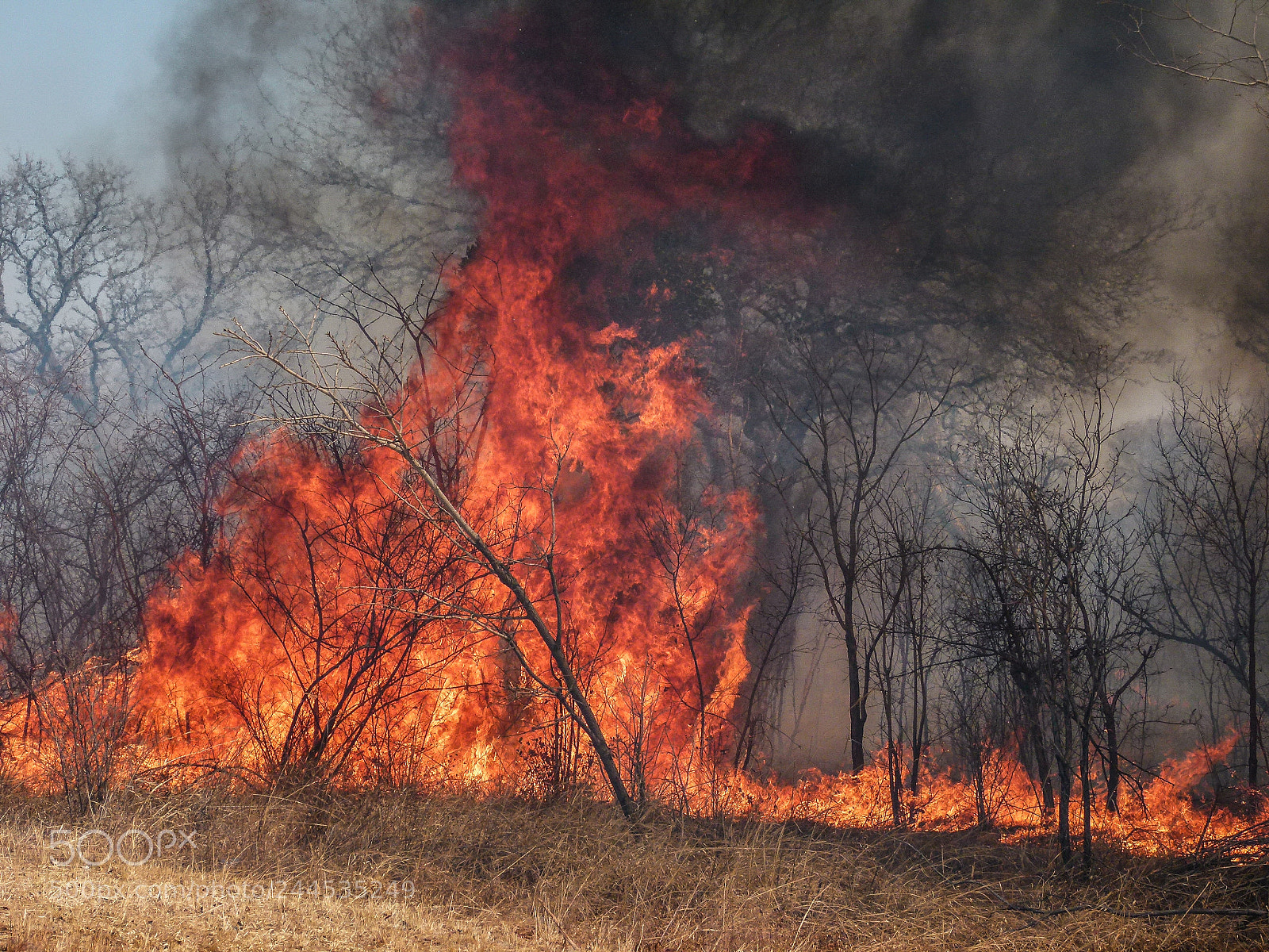 Panasonic Lumix DMC-FZ100 sample photo. Fire photography