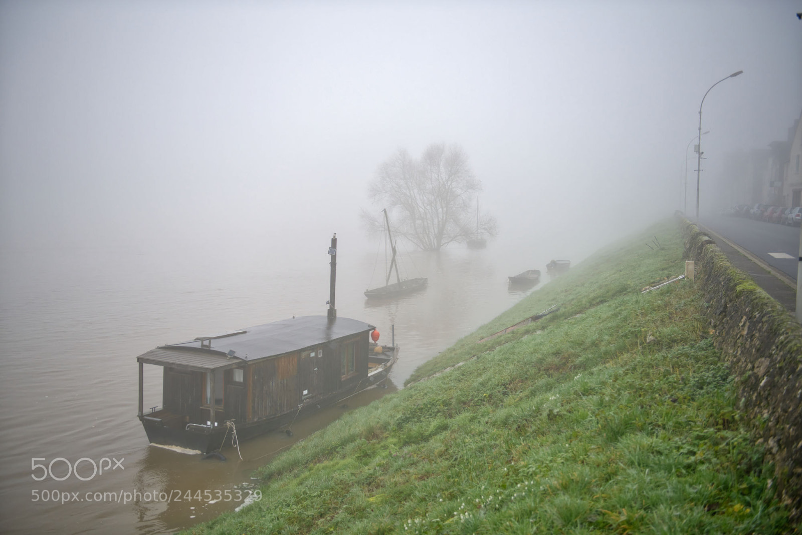 Nikon D810 sample photo. Brume en loire photography