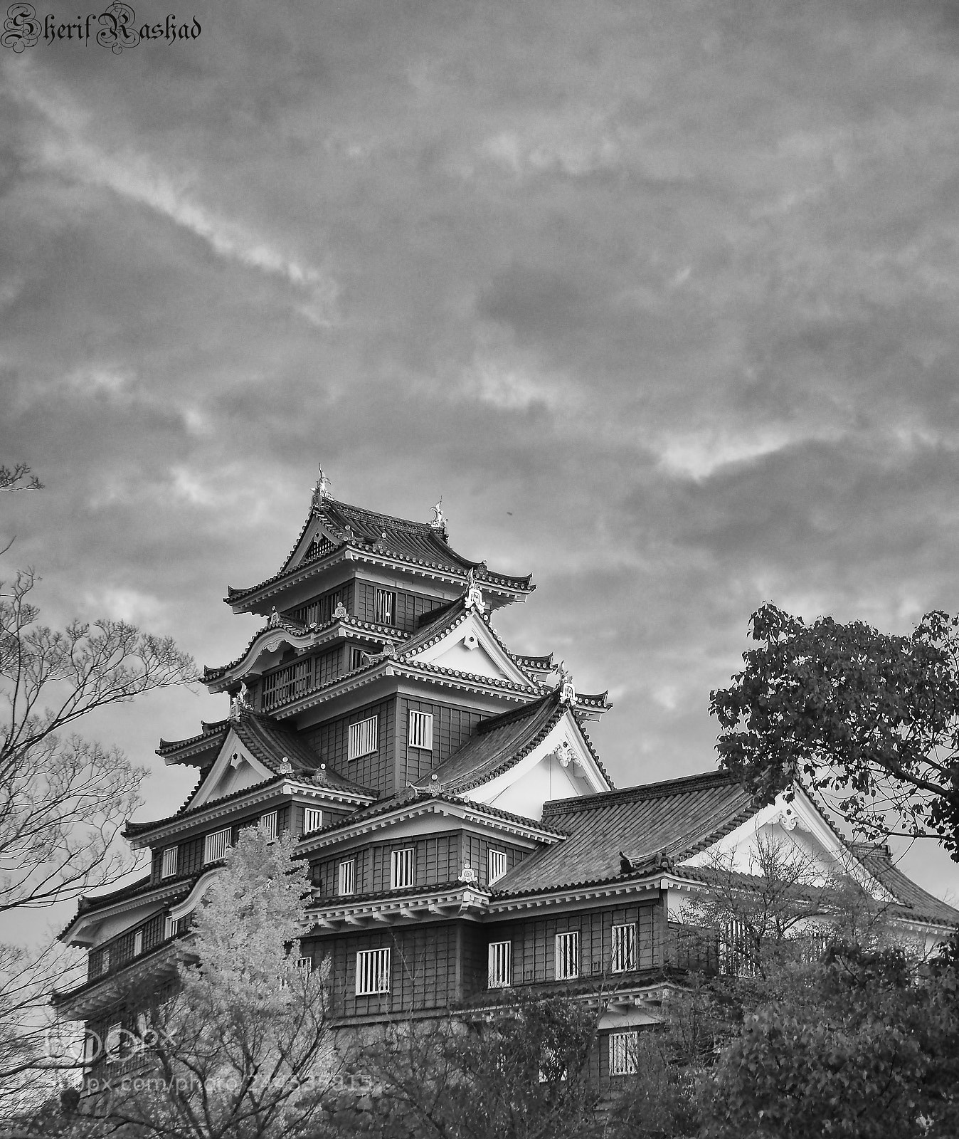 Pentax K-50 sample photo. Okayama castle photography