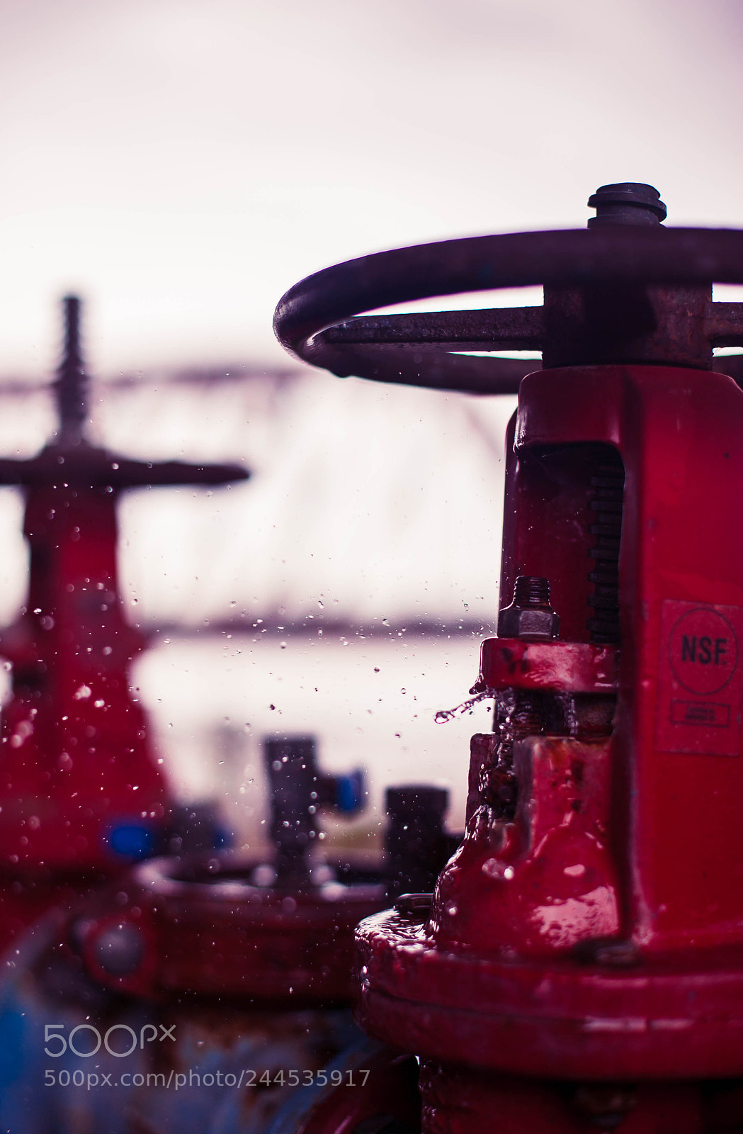 Nikon D700 sample photo. Leaking backflow photography