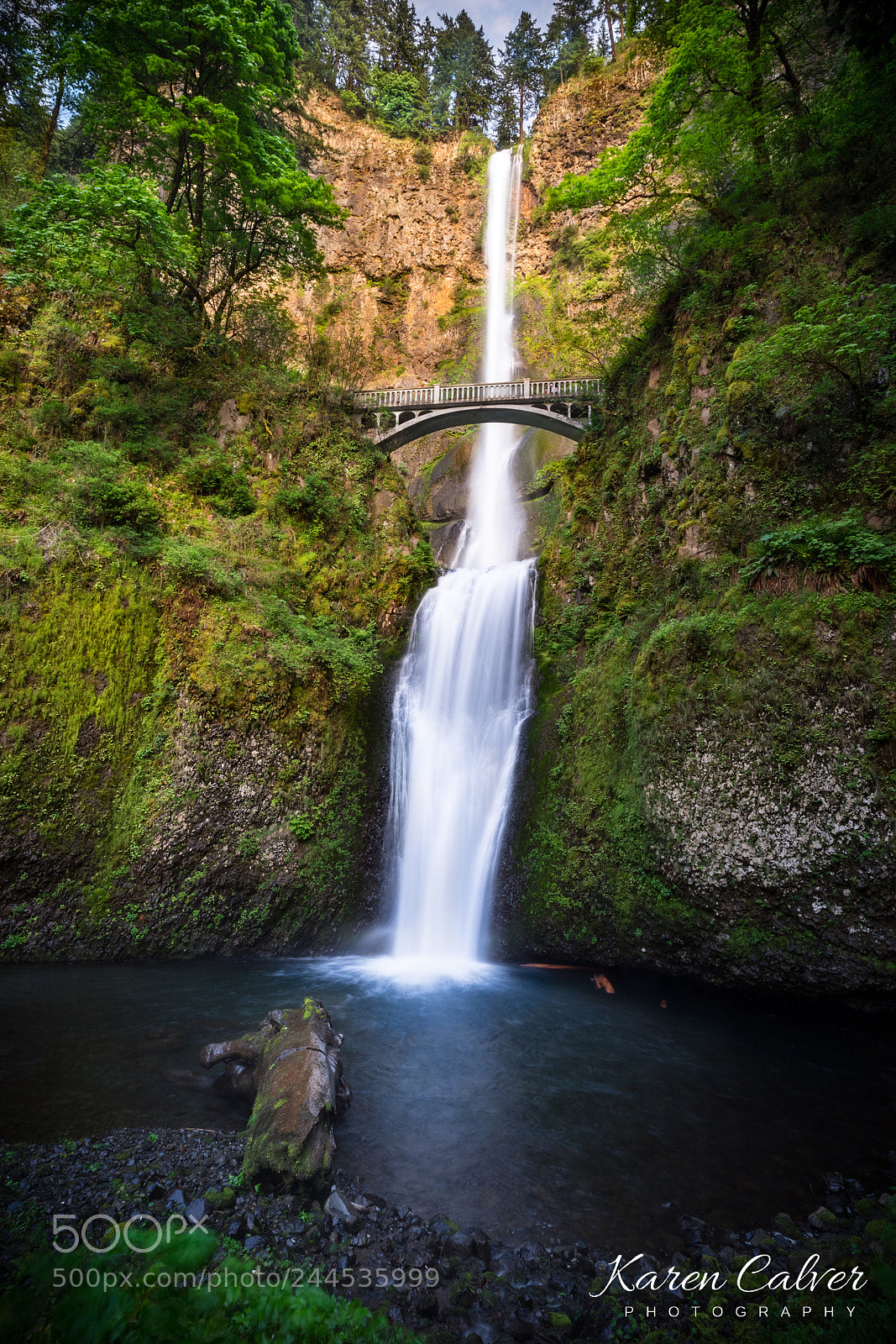 Sony a7 II sample photo. Karen calver multonmah photography