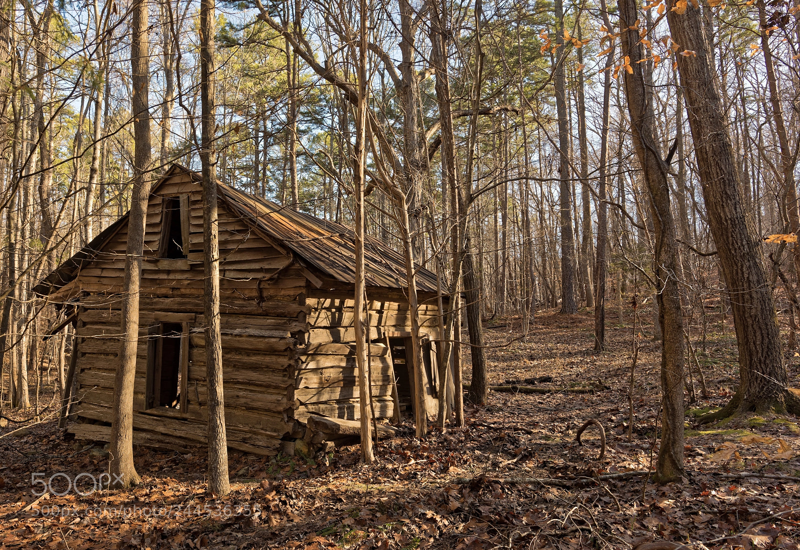 Nikon D810 sample photo. Enoparkridgeroaddurhamnc photography