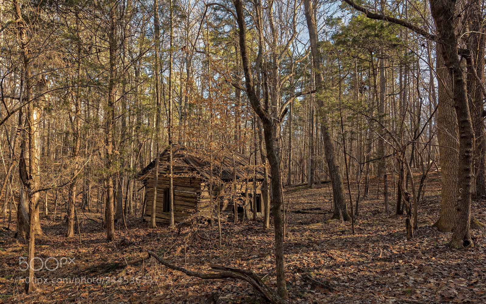 Nikon D810 sample photo. Enoparkridgeroaddurhamnc photography
