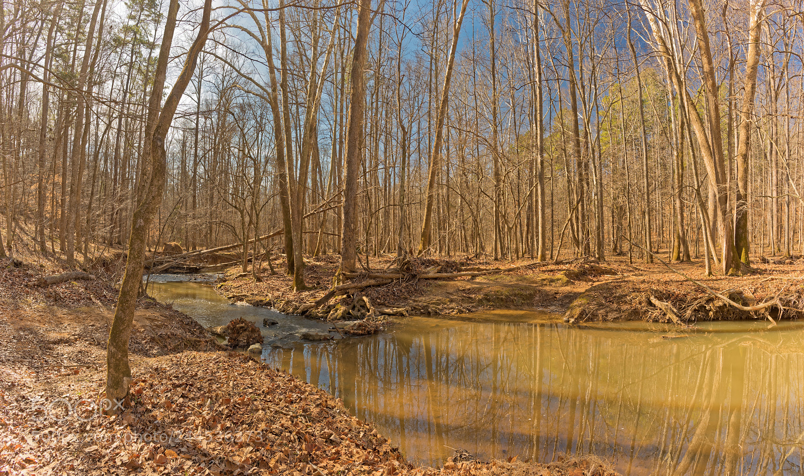 Nikon D810 sample photo. Enoparkridgeroaddurhamnc pano photography