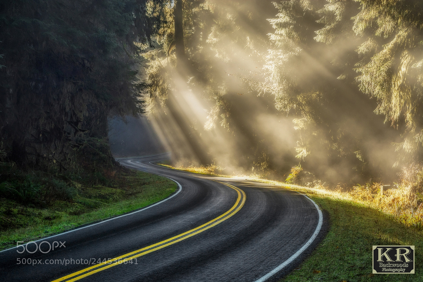Nikon D7100 sample photo. Winding through the hoh photography