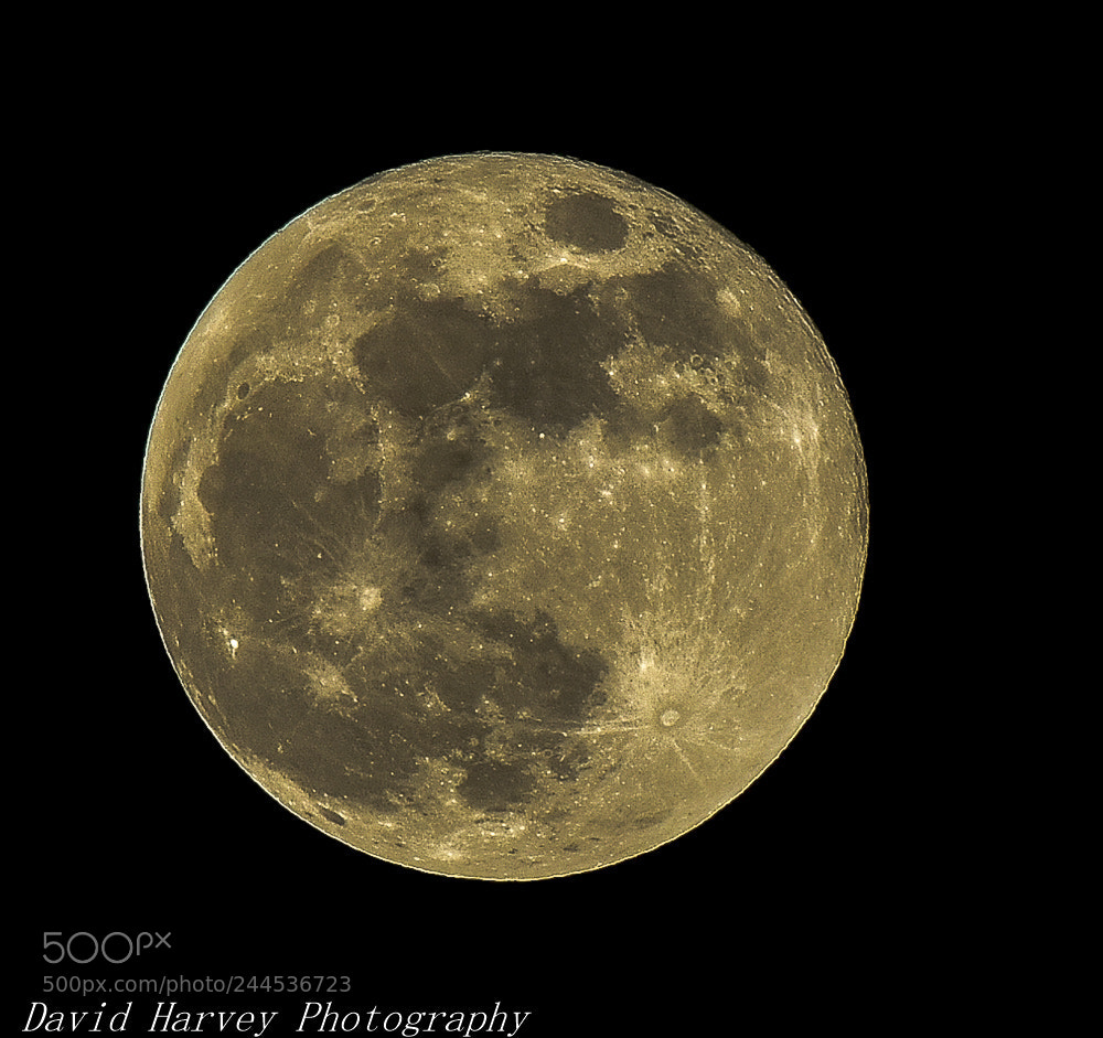 Nikon D7200 sample photo. Supermoon photography
