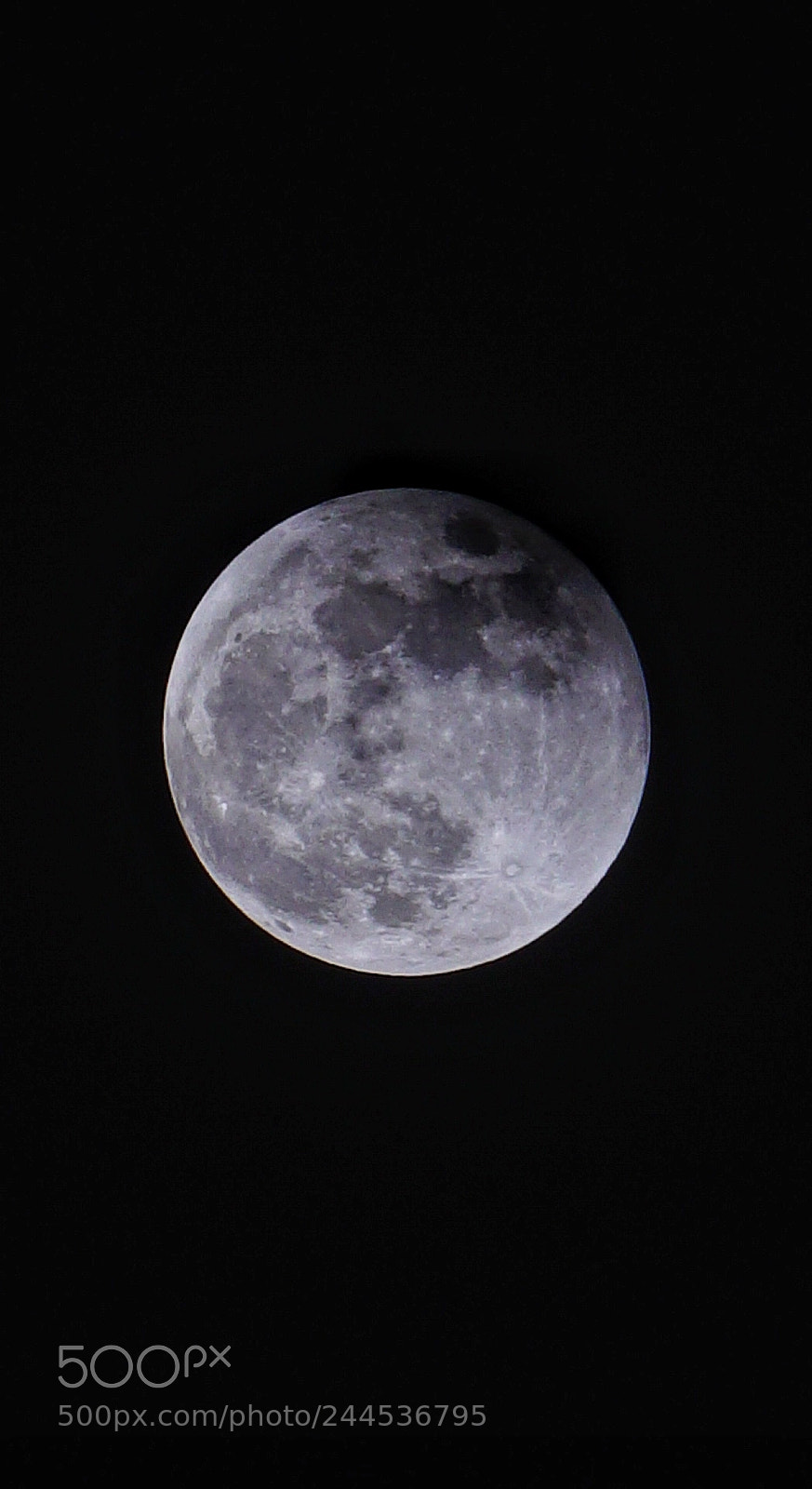 Sony a7R II sample photo. By sonya7r2 70-200 f4 photography