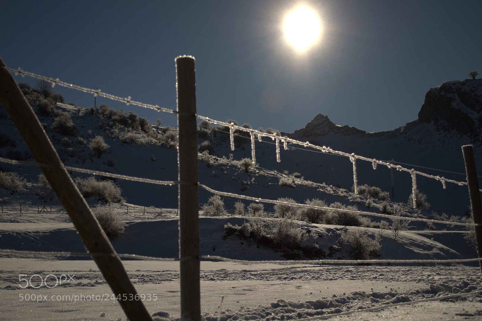 Nikon D3200 sample photo. Untitled photography