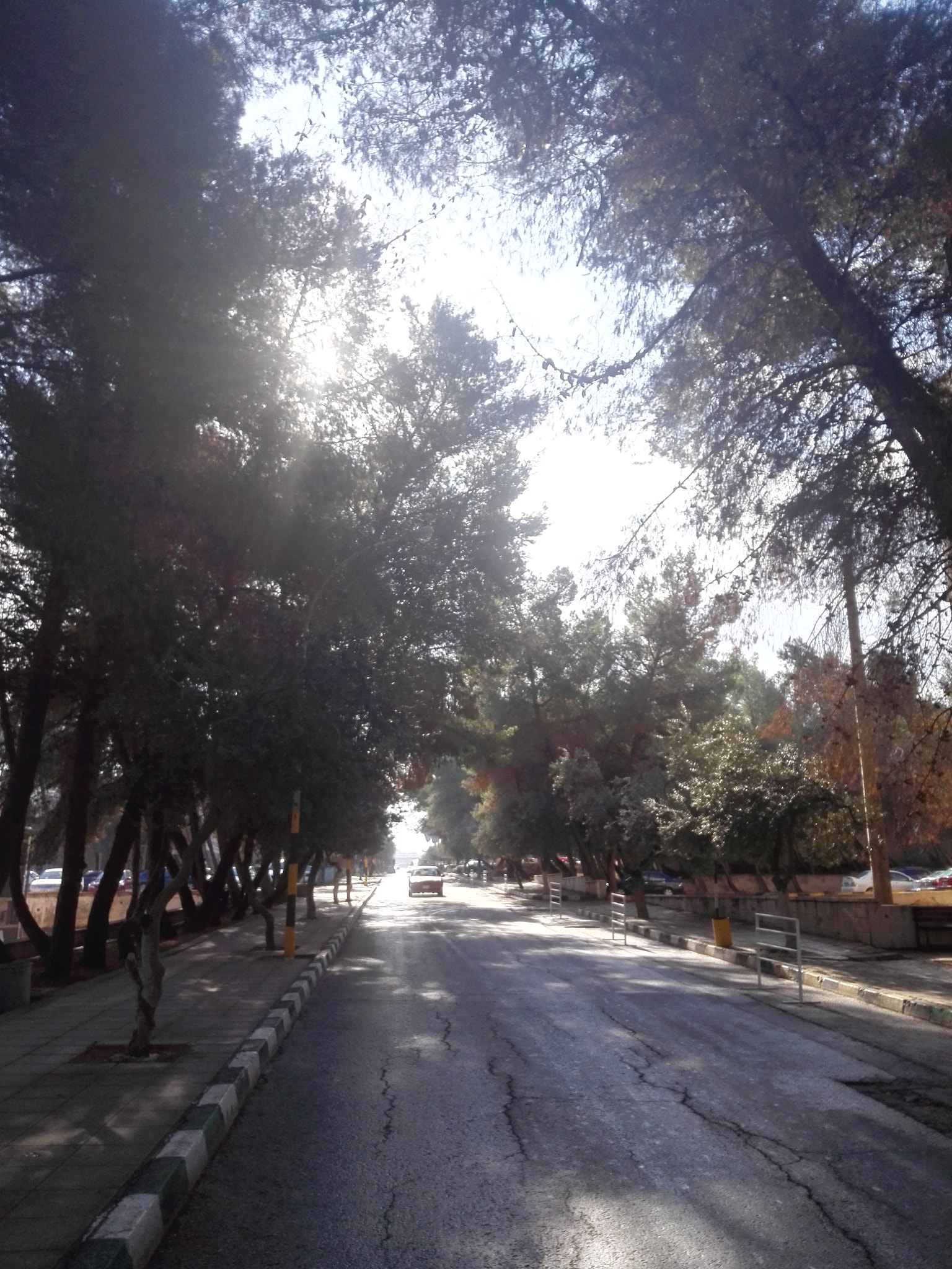 HUAWEI P7-L10 sample photo. Car .. street .. trees photography