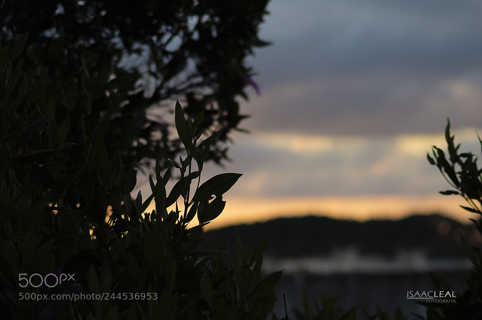 Canon EOS M3 sample photo. Untitled photography