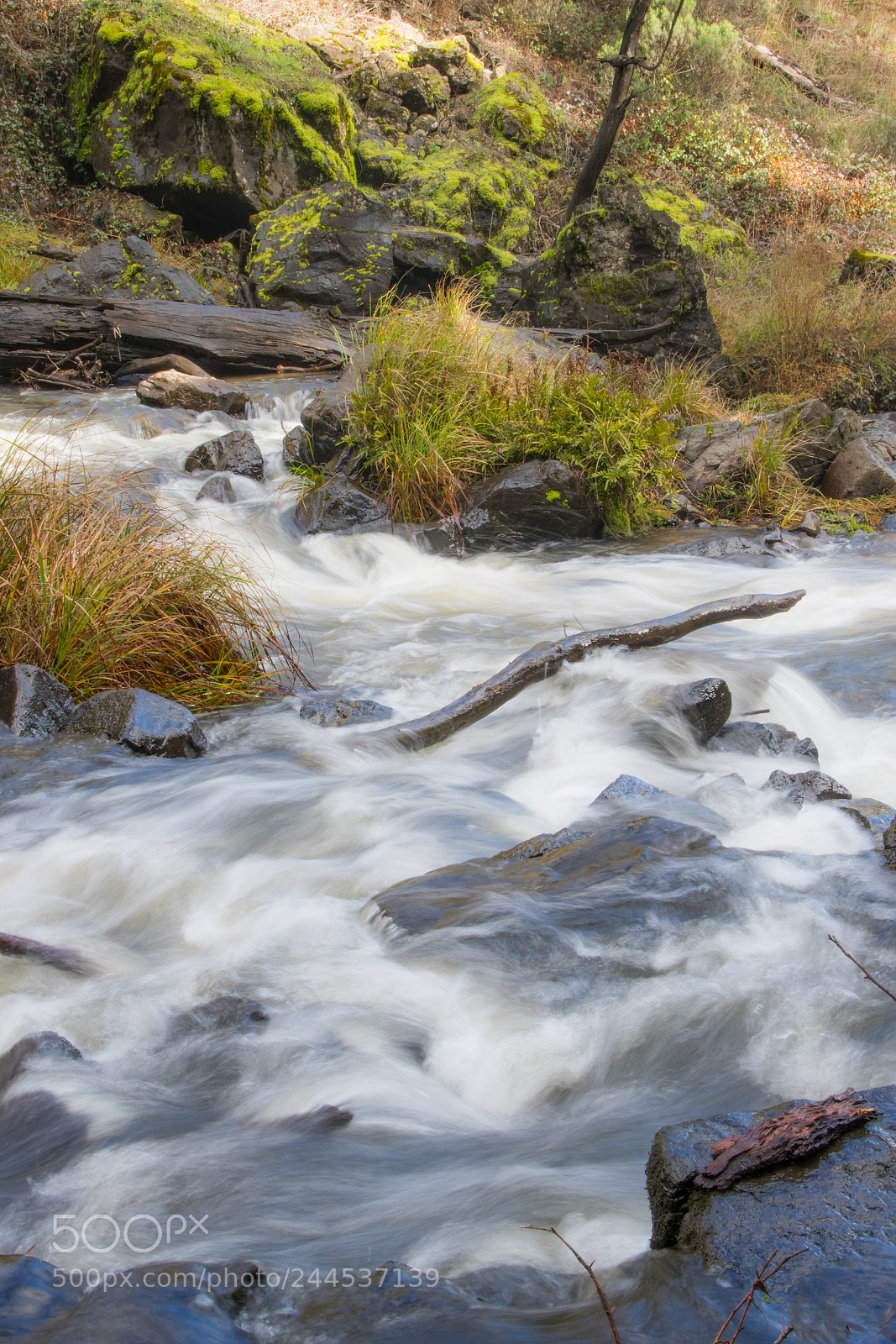 Pentax K-3 sample photo. Paddys river photography