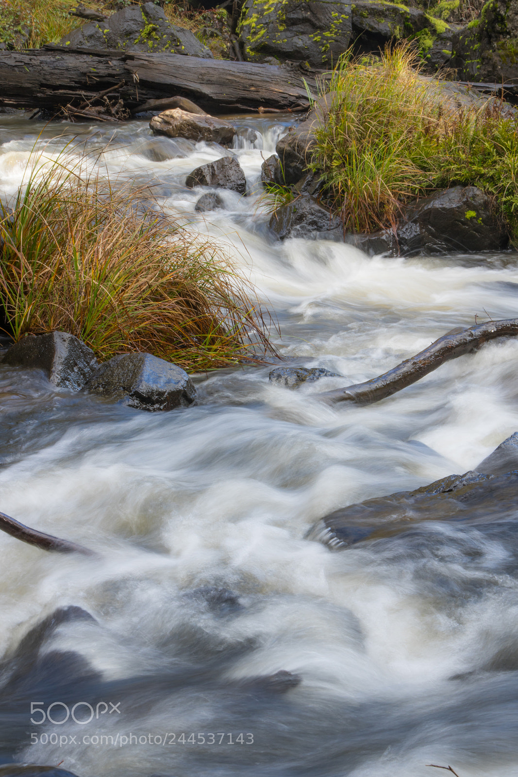 Pentax K-3 sample photo. Paddys river photography