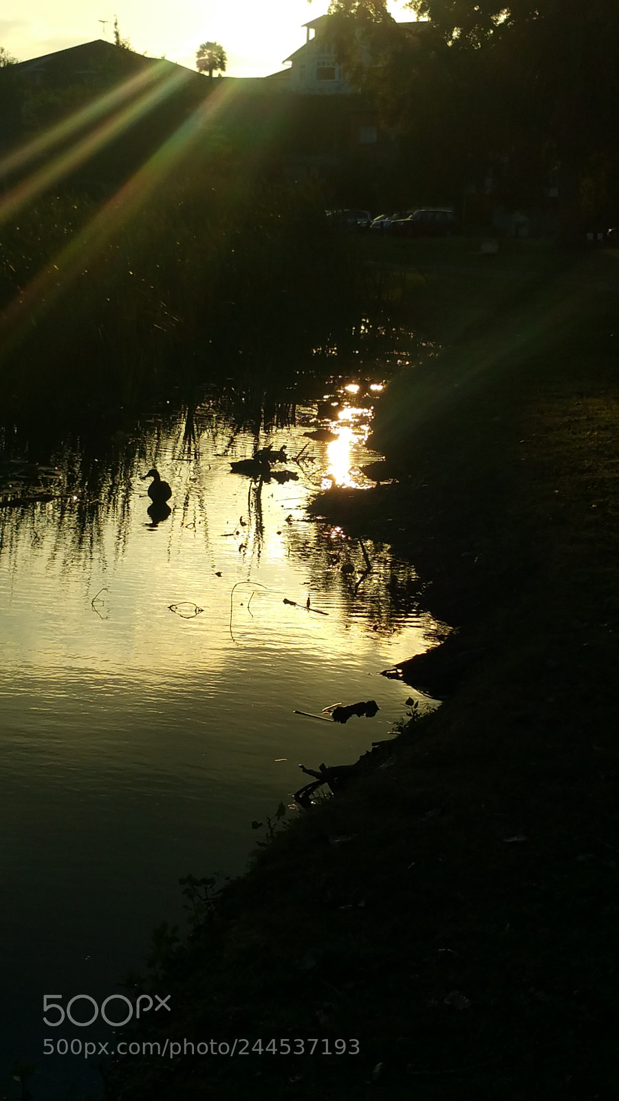 Samsung Galaxy Note4 sample photo. Untitled photography