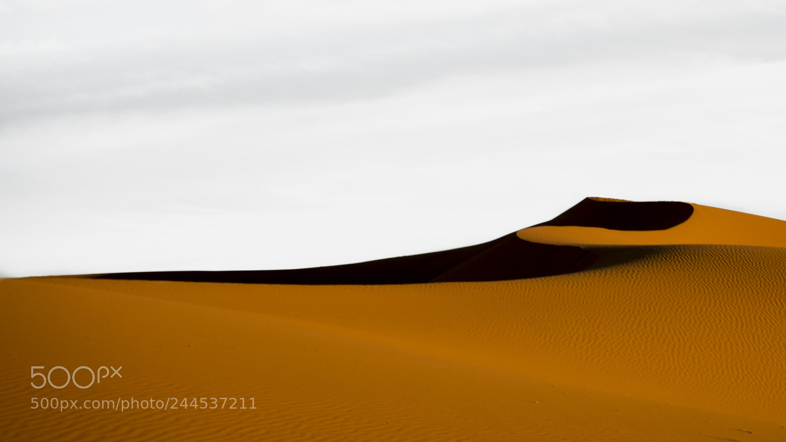 Sony a7R II sample photo. Sahara, morocco photography
