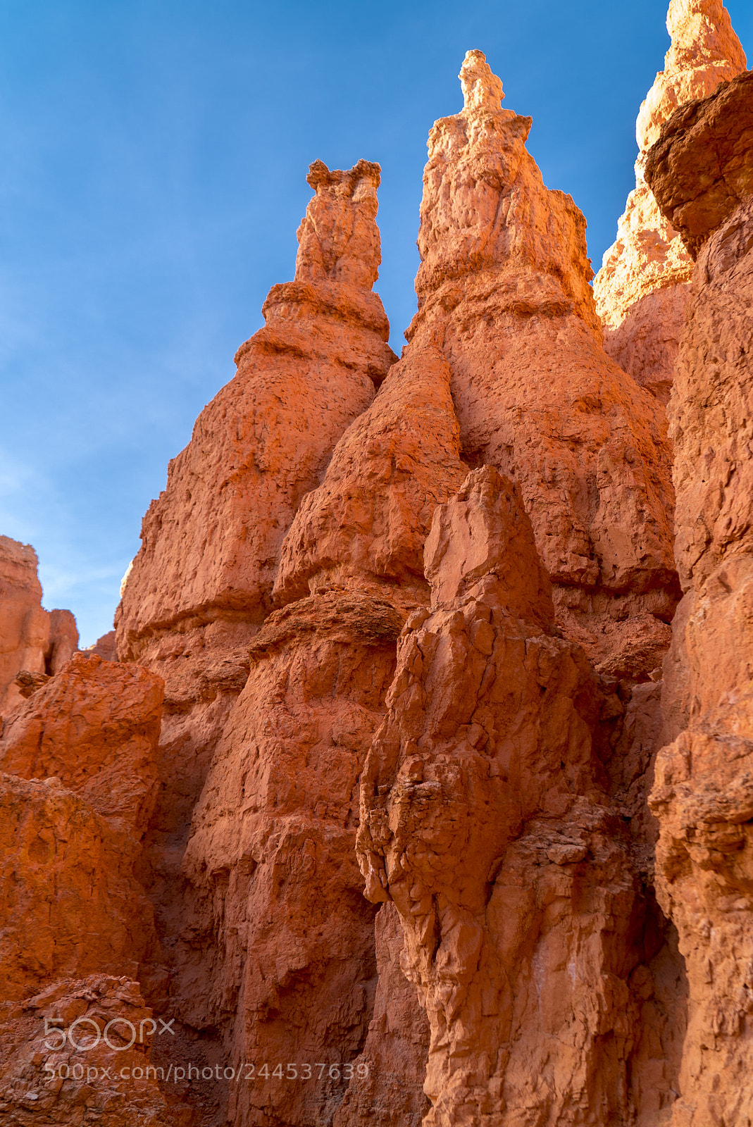 Sony a7S sample photo. Hoodoos at bryce canyon photography