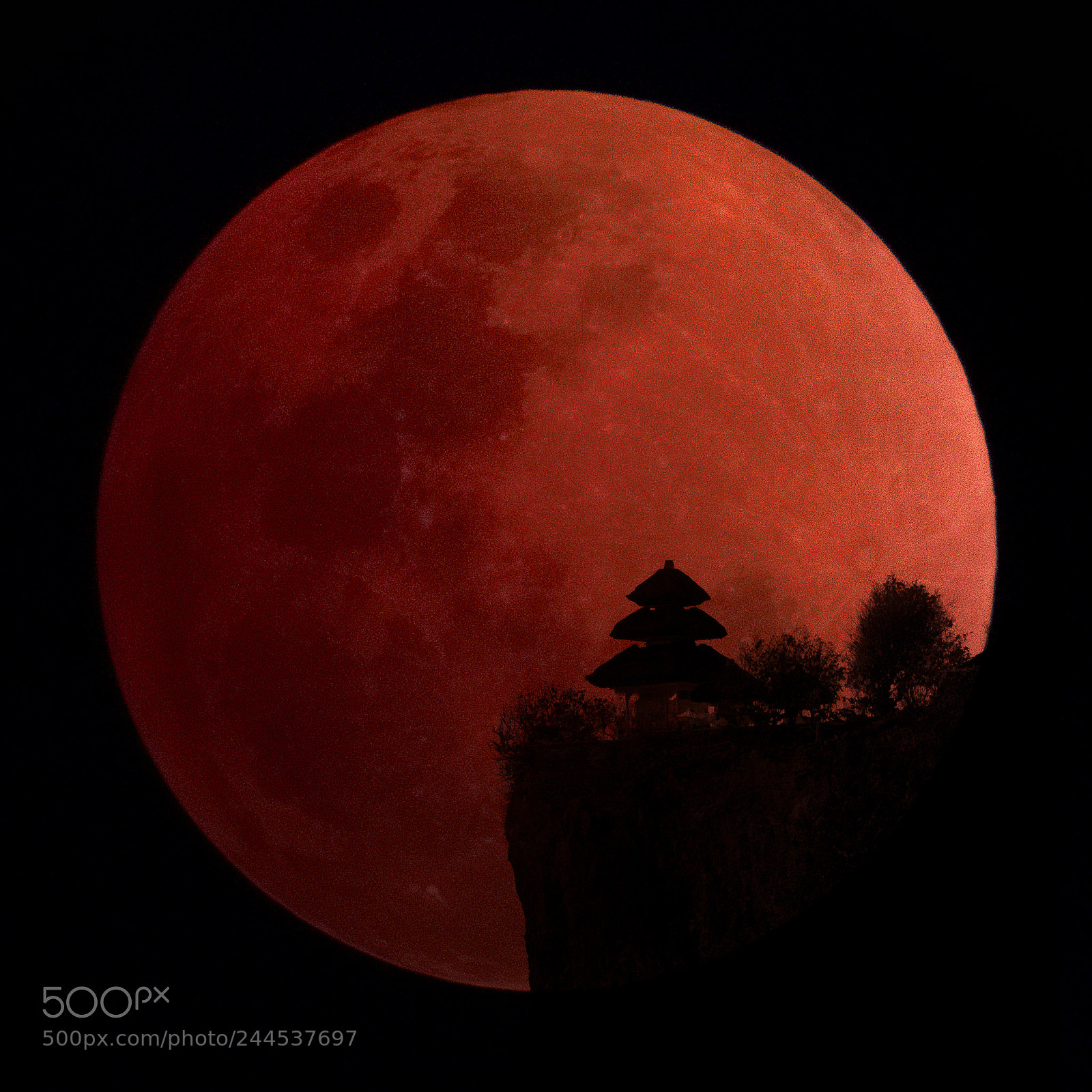 Fujifilm X-T2 sample photo. Super blue blood moon photography