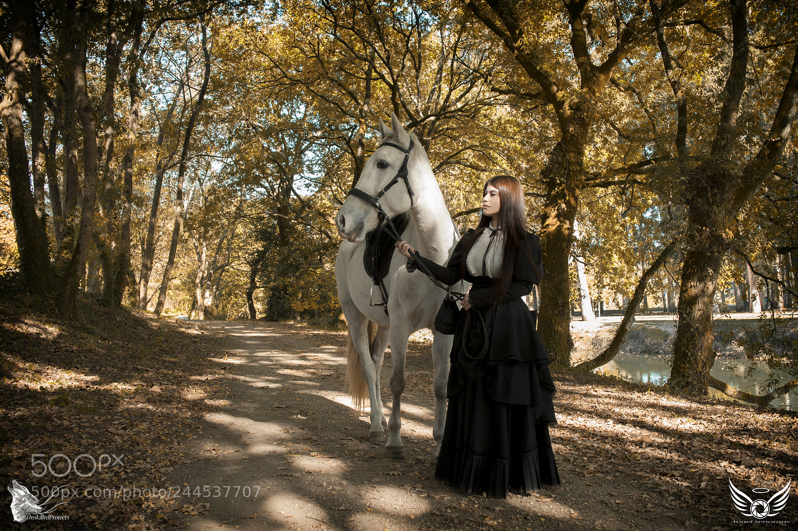 Nikon D700 sample photo. Dama victoriana photography