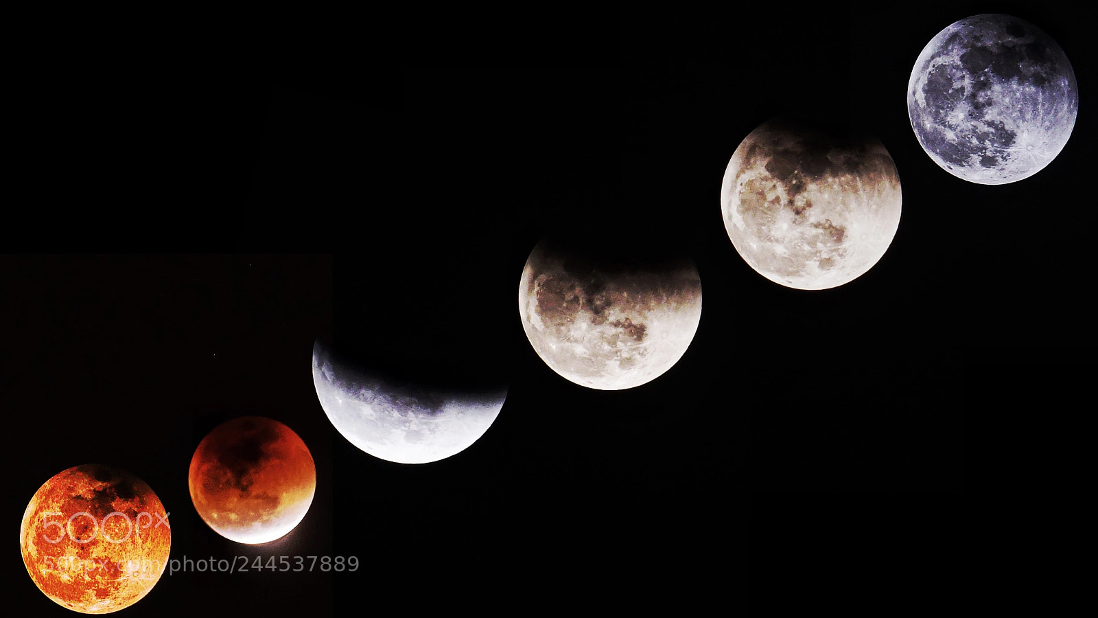 Sony a7R II sample photo. By sony a7r2 70-200 photography