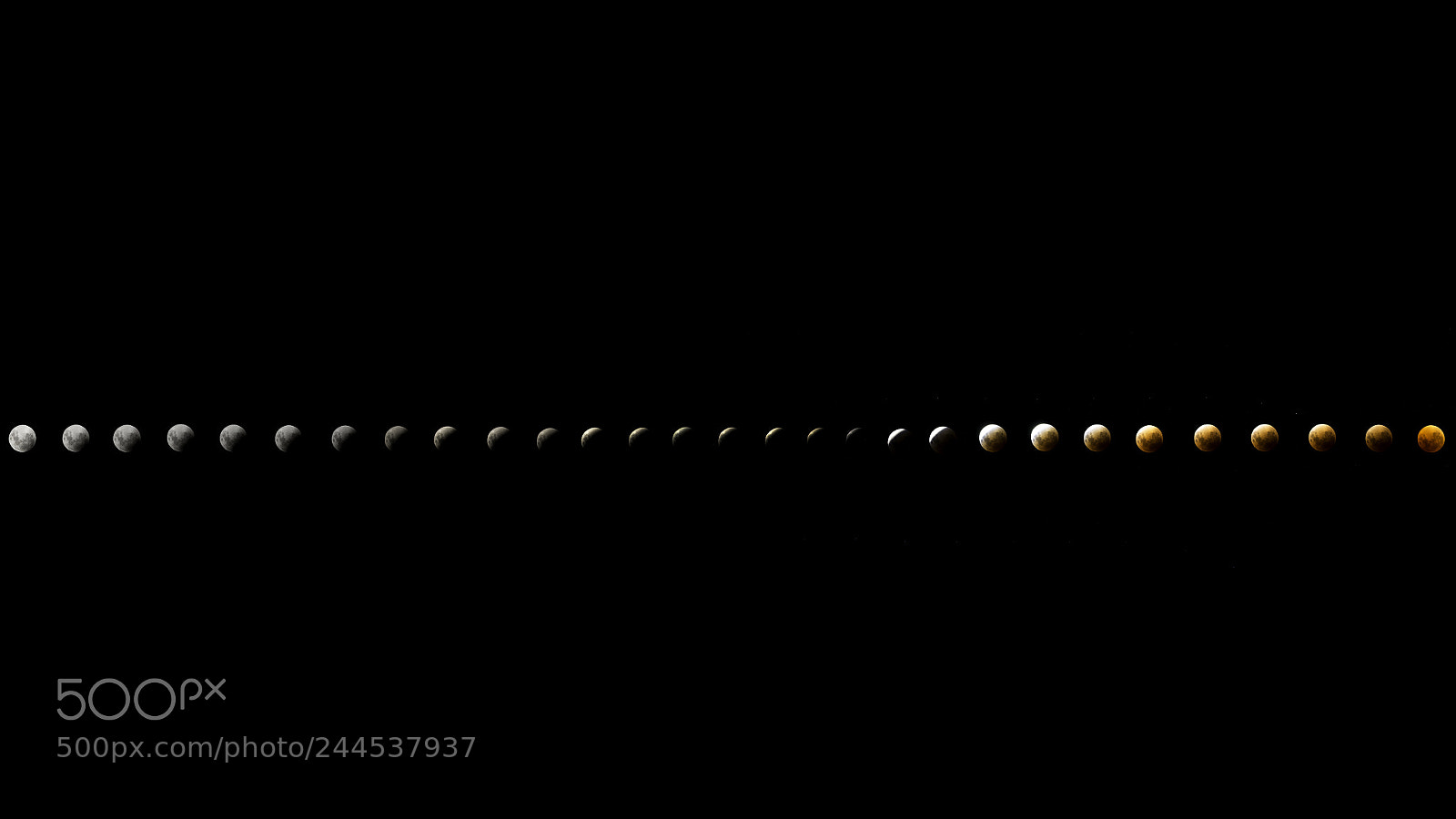 Nikon D800 sample photo. Super blue blood moon photography