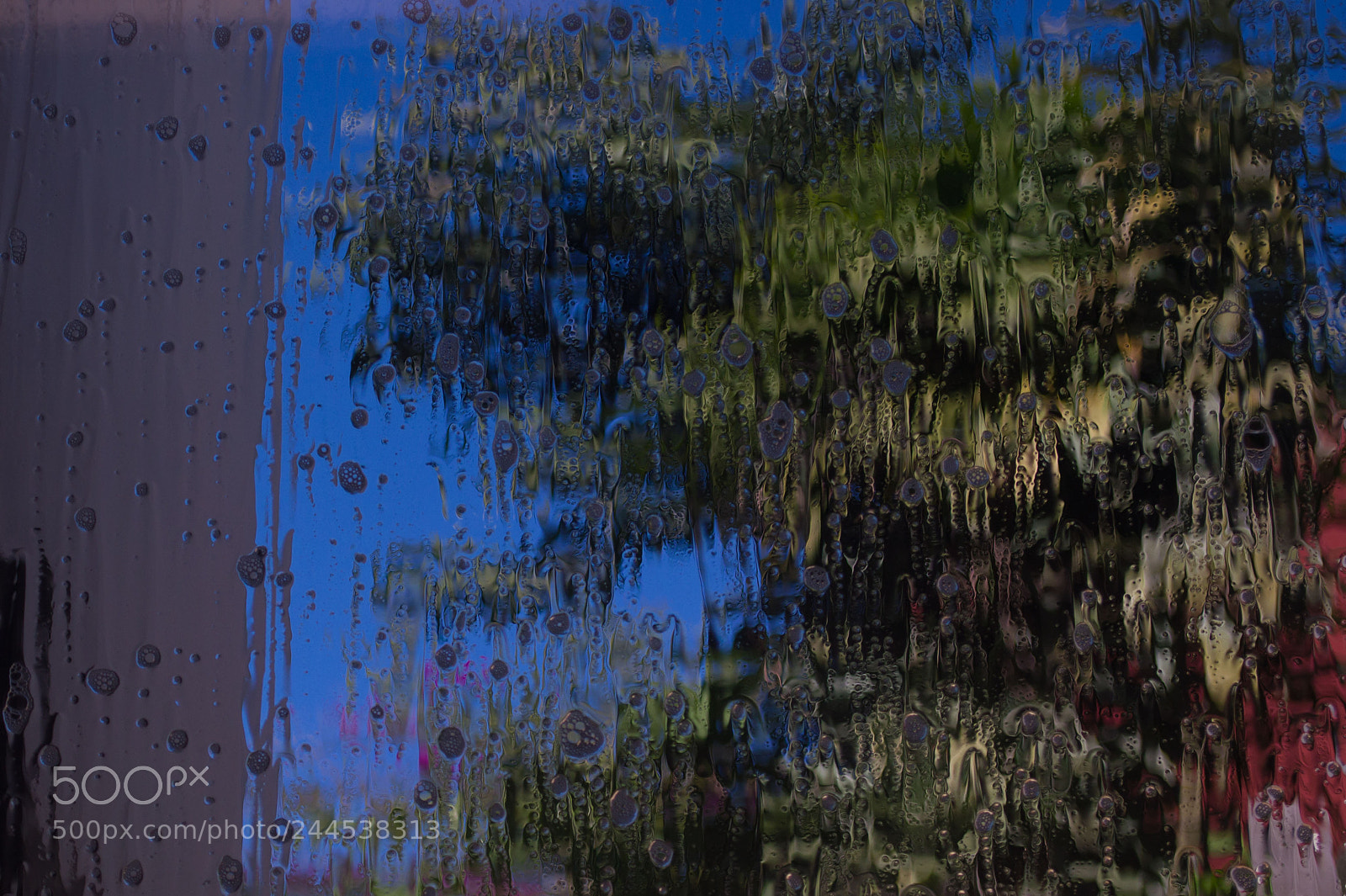 Nikon D3200 sample photo. Lavando photography