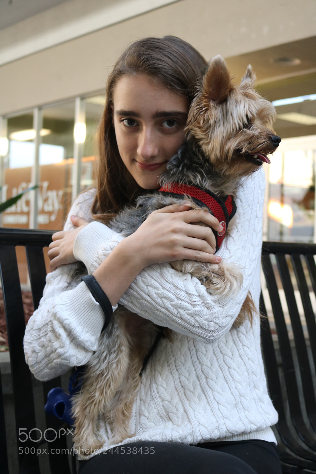 Canon EOS 750D (EOS Rebel T6i / EOS Kiss X8i) sample photo. Puppy love photography