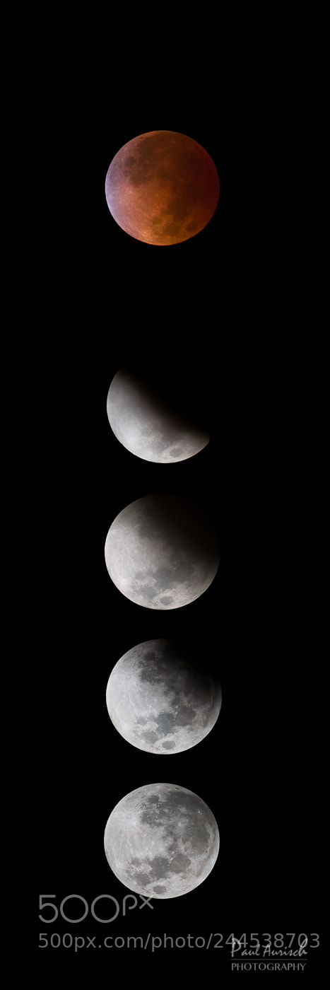 Nikon D500 sample photo. Lunar eclipse super blue photography