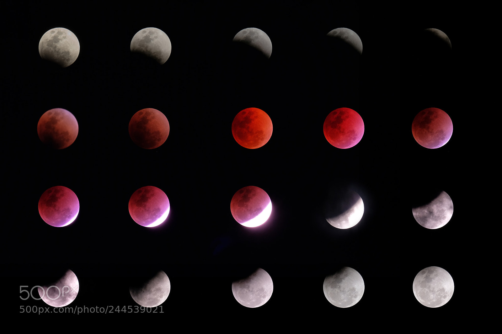 Fujifilm X-T2 sample photo. Phases of lunar eclipse photography