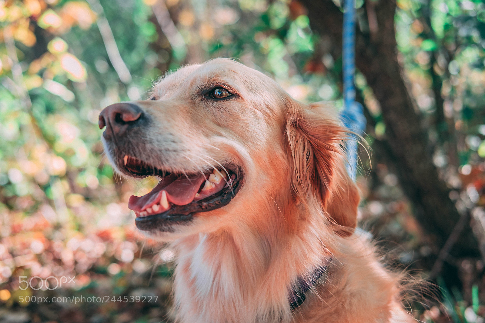 Fujifilm X-T1 sample photo. Xt photography