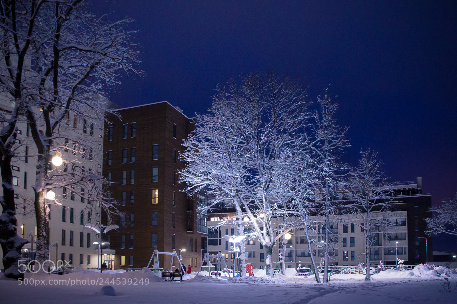 Canon EOS 60D sample photo. Snow-covered yard photography