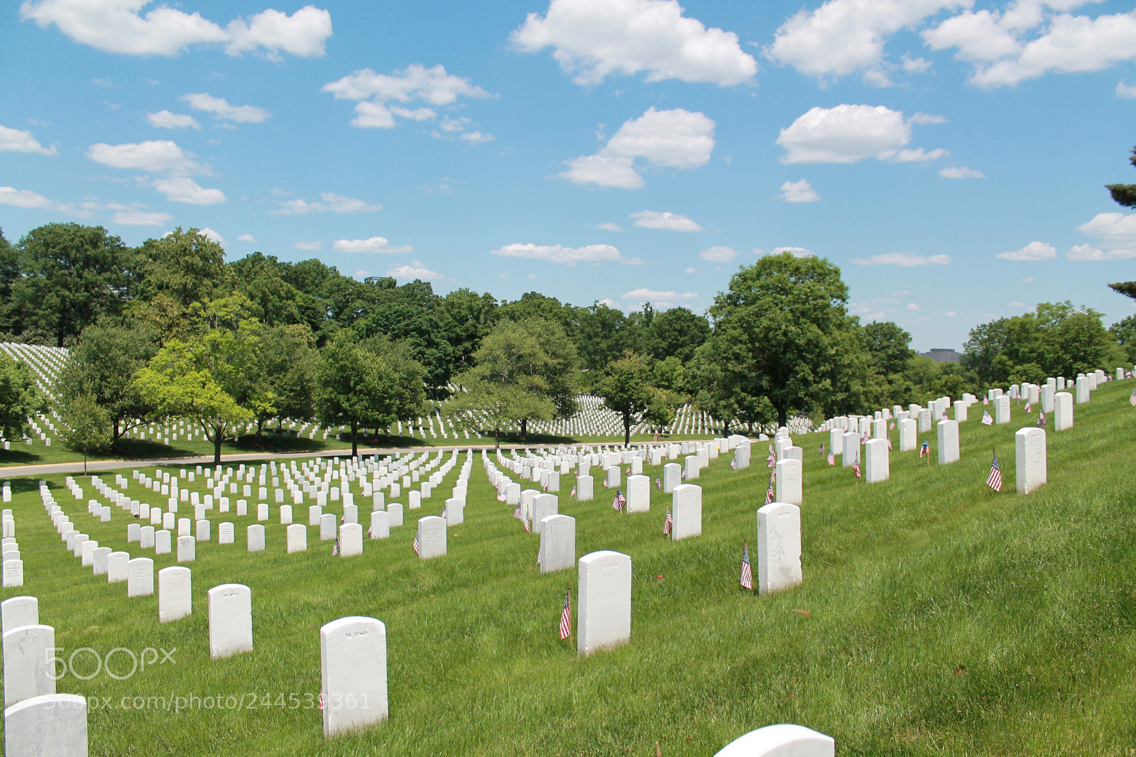 Canon EOS 1100D (EOS Rebel T3 / EOS Kiss X50) sample photo. Cost of freedom photography