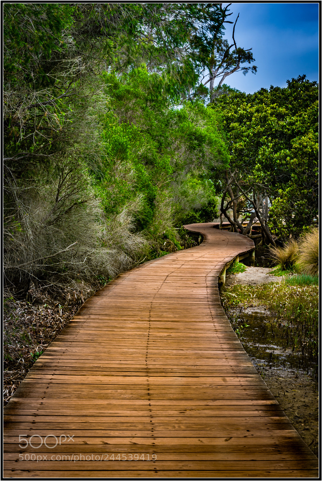 Nikon D7200 sample photo. Boardwalk to heaven... photography
