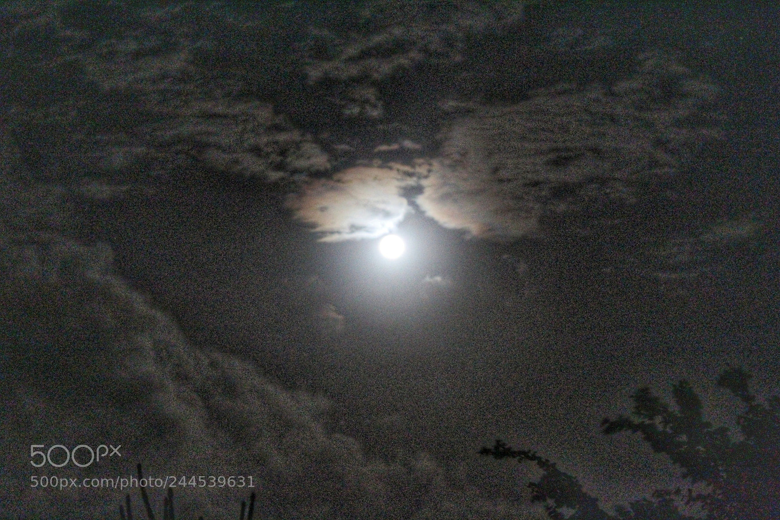 Canon EOS 1300D (EOS Rebel T6 / EOS Kiss X80) sample photo. Beautifully moon photography