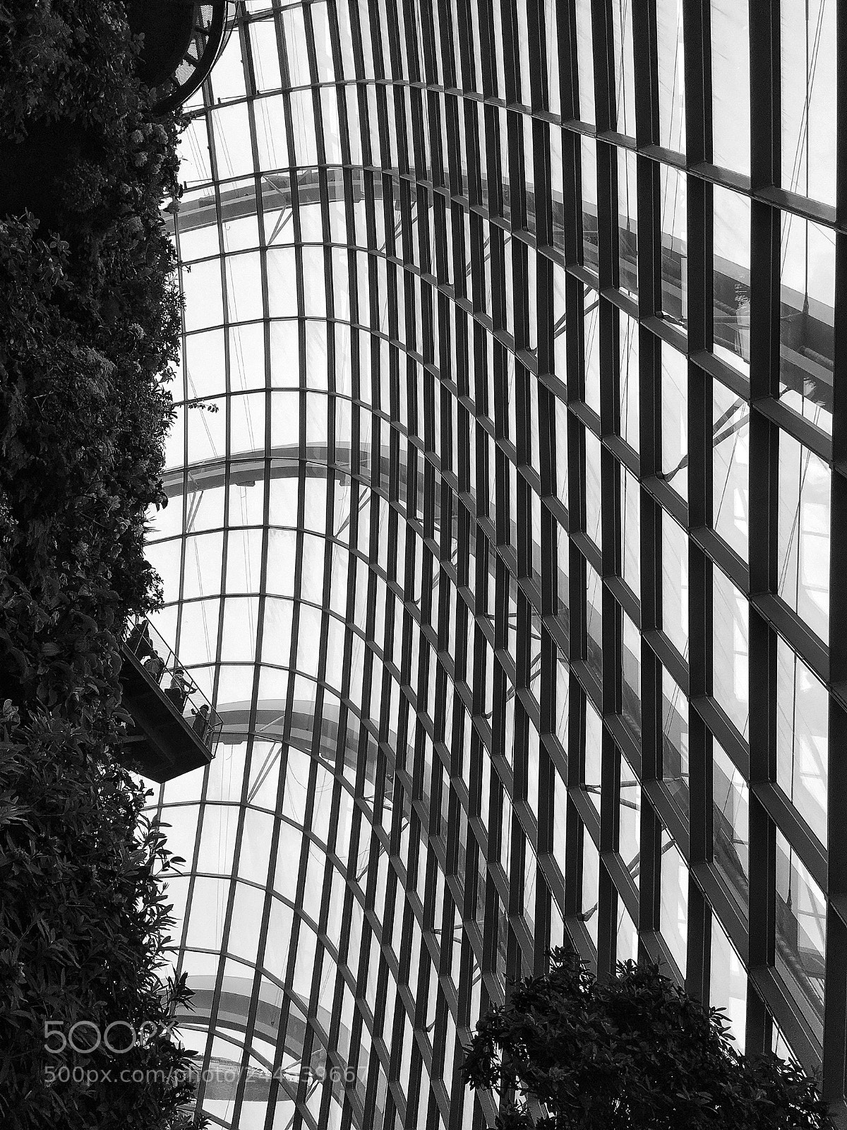 Apple iPhone 6s Plus sample photo. Cloud forest, singapore photography