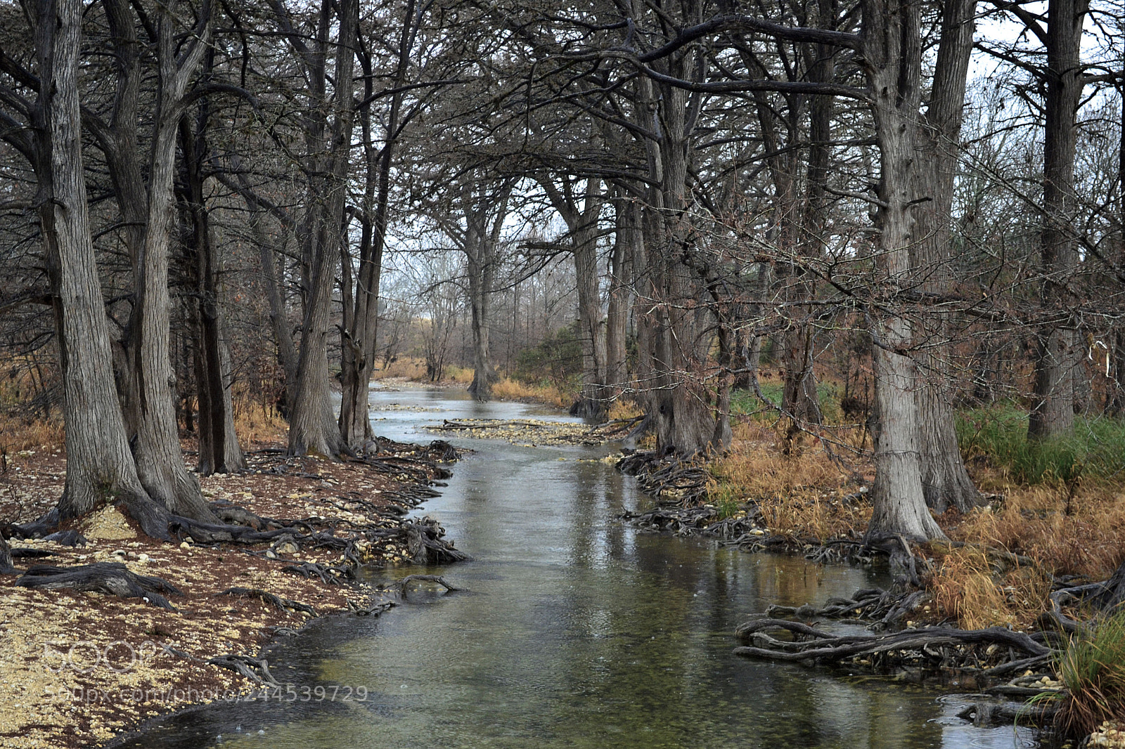 Nikon D3100 sample photo. Noname photography