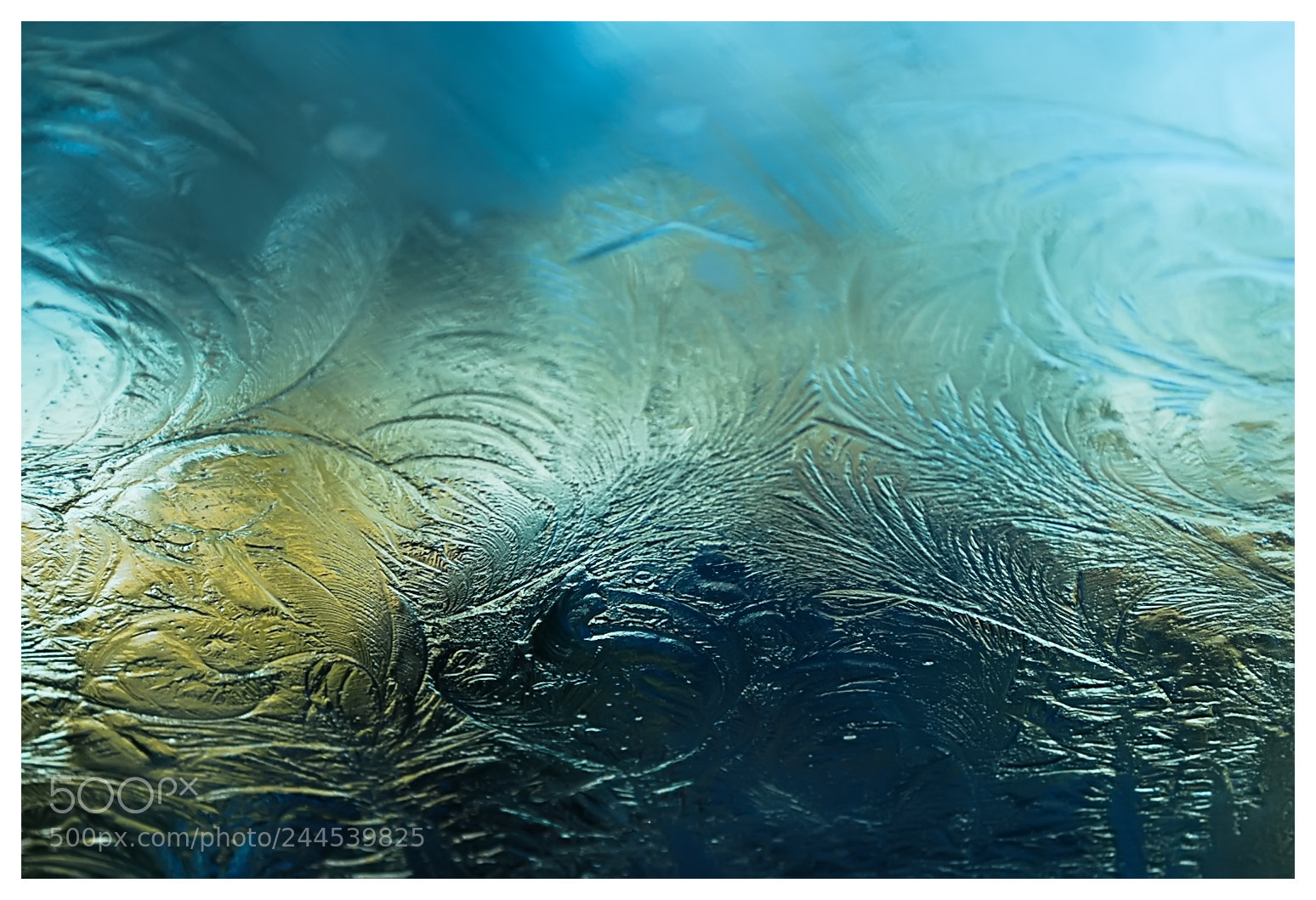 Nikon D60 sample photo. Liquid dreams photography