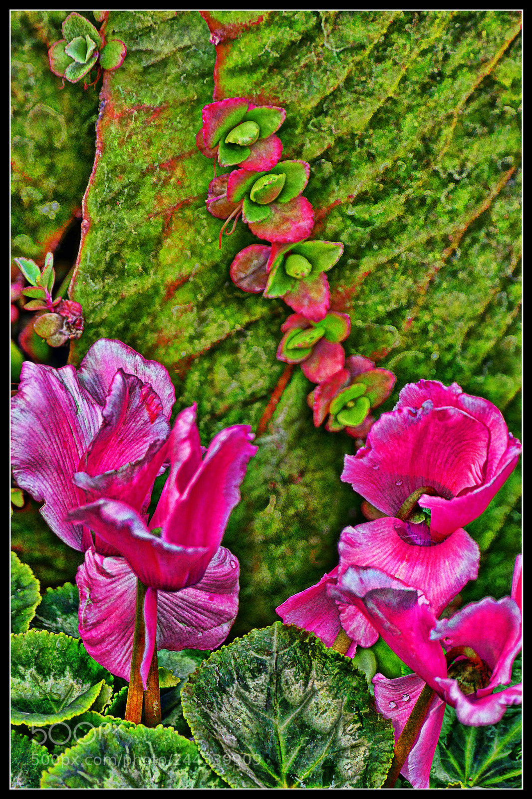 Panasonic Lumix DMC-FZ1000 sample photo. Landscape, up close photography