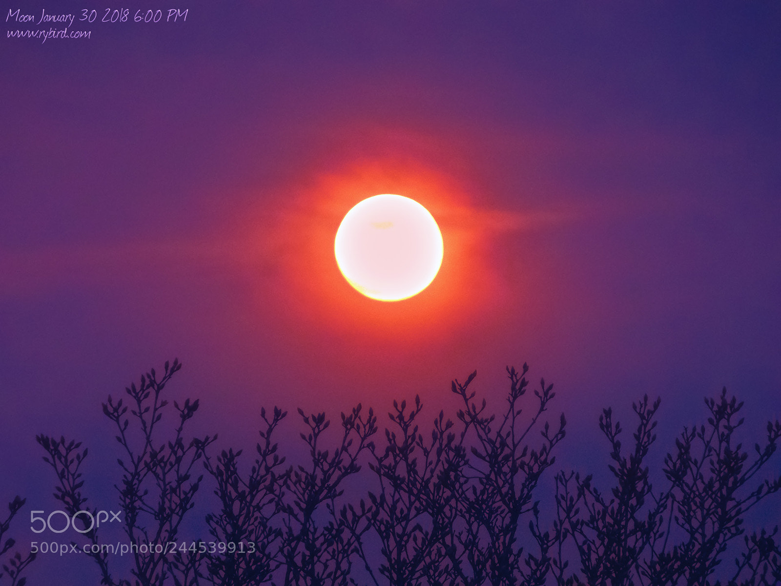 Fujifilm FinePix S1 sample photo. Moon january 30 2018 6:00 pm photography