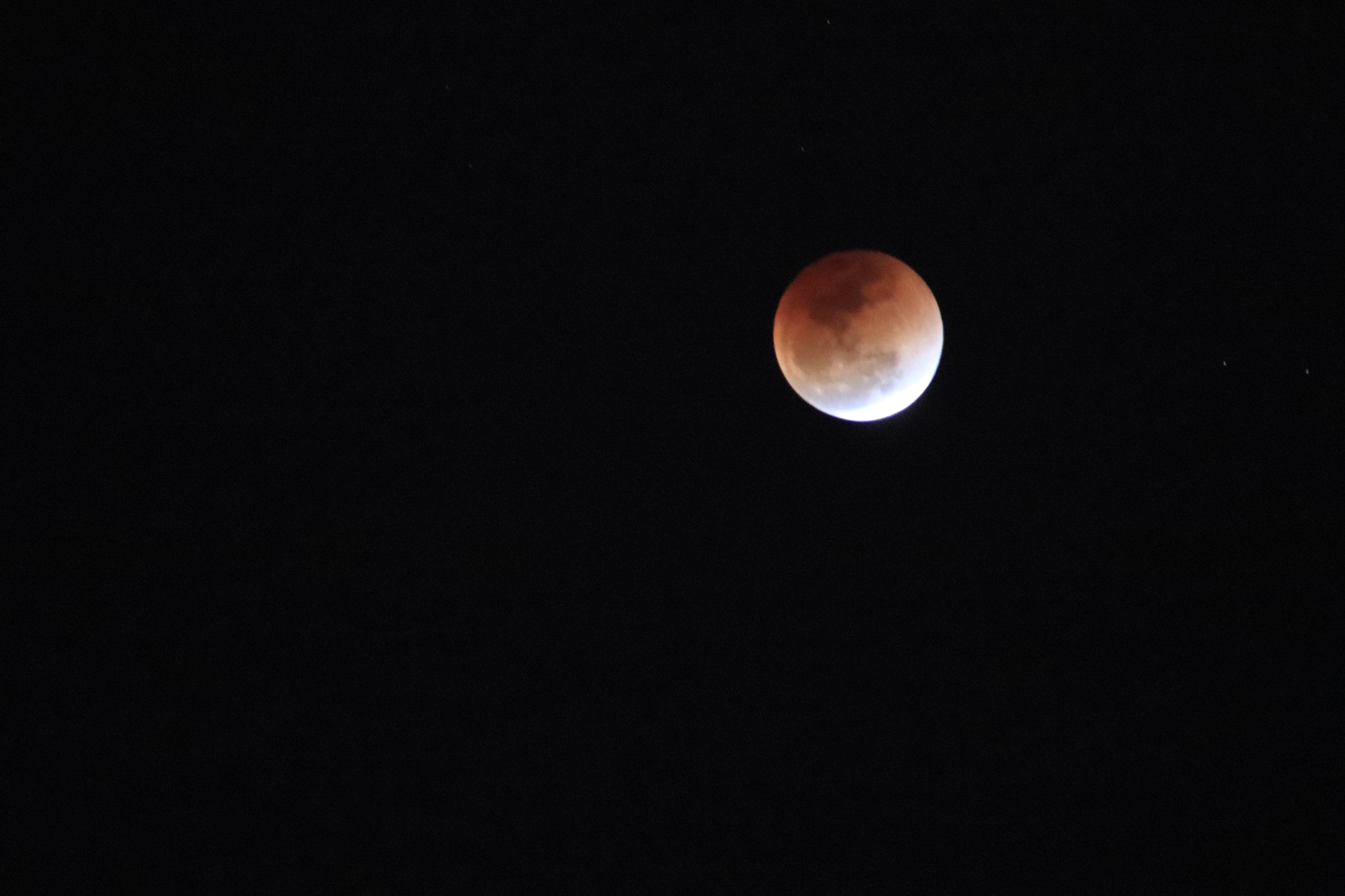 Canon EF 75-300mm f/4-5.6 USM sample photo