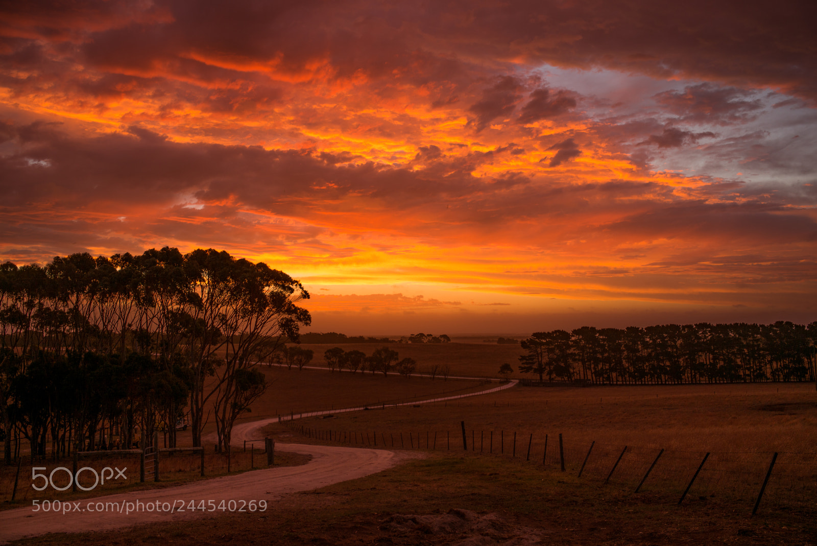 Leica M (Typ 240) sample photo. Australian farm photography