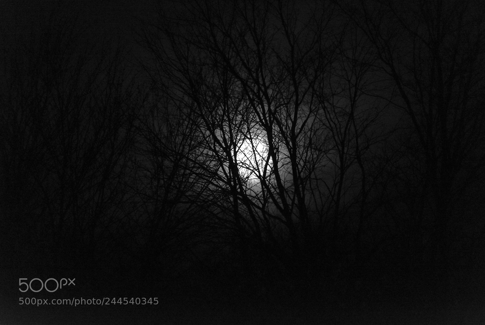 Nikon D7100 sample photo. By the light of photography