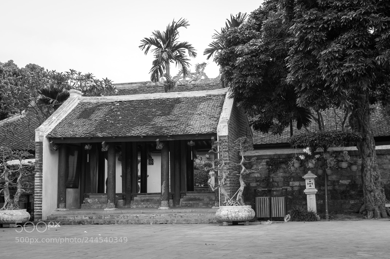 Pentax K-3 sample photo. Hanoi photography