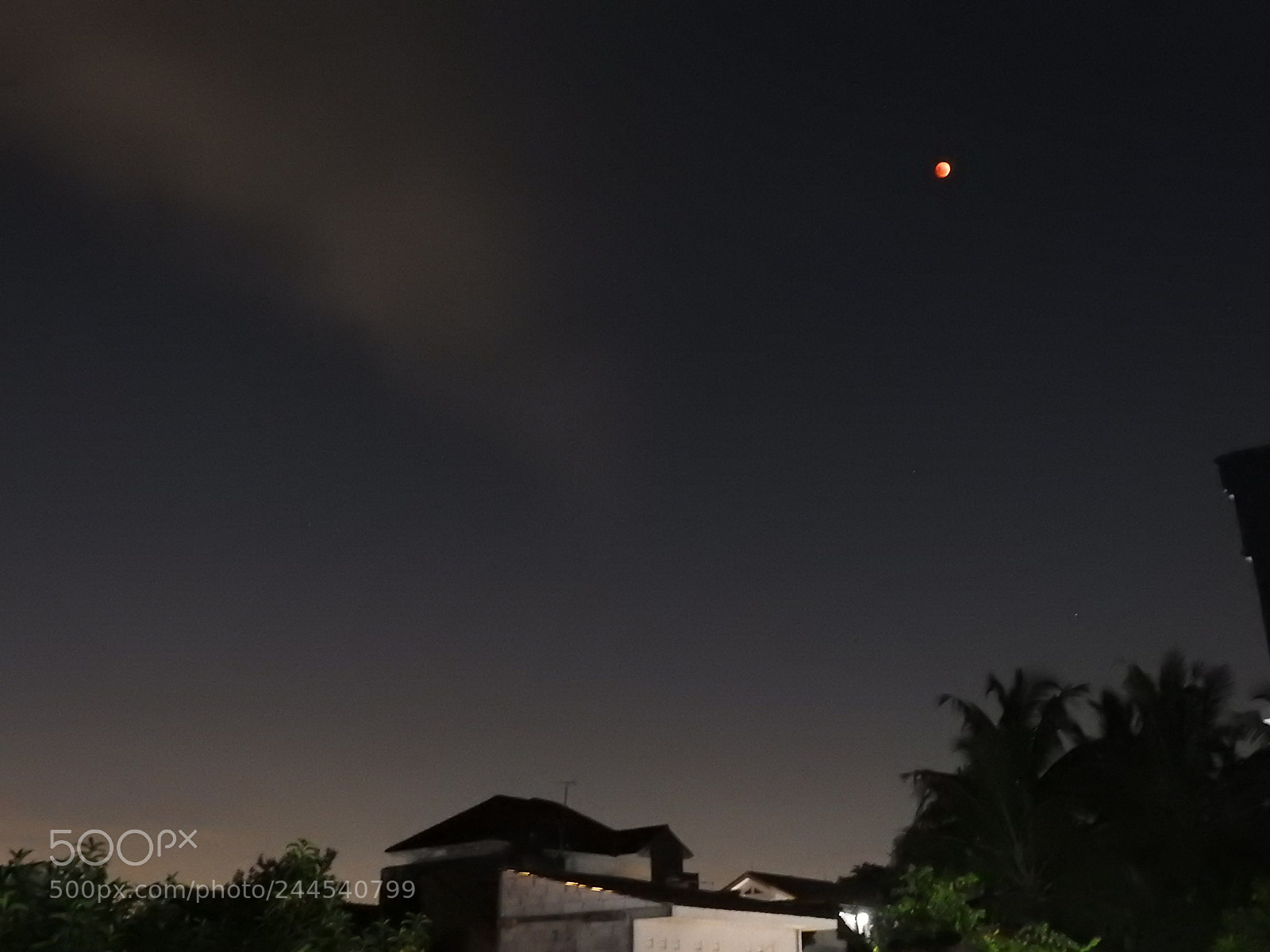 Nikon Coolpix P900 sample photo. Super blue blood moon photography