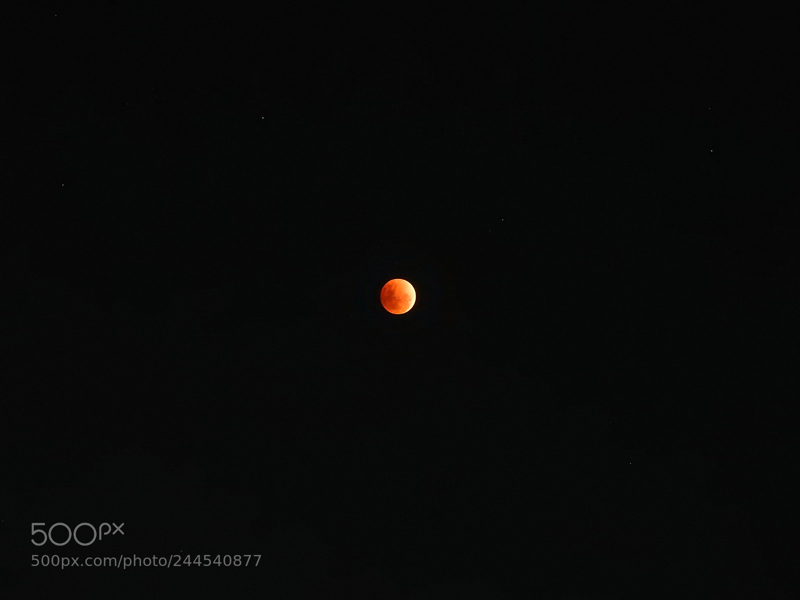 Nikon Coolpix P900 sample photo. Super blue blood moon photography