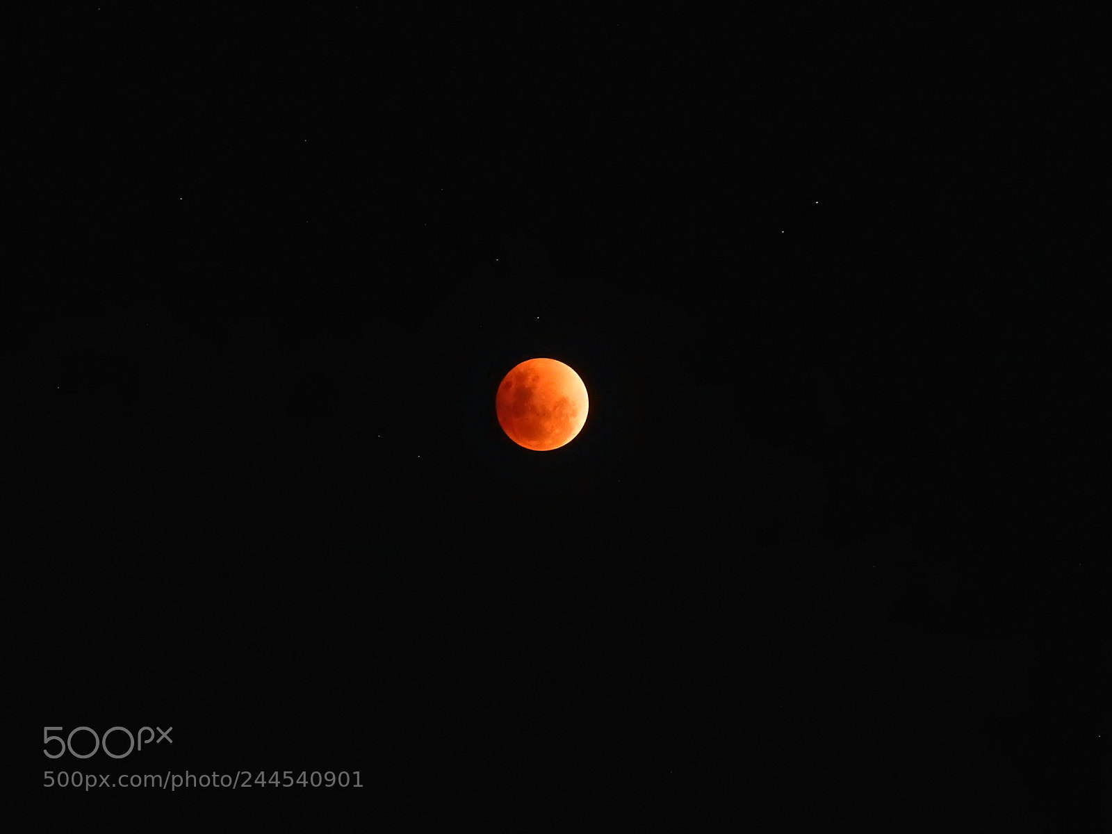 Nikon Coolpix P900 sample photo. Super blue blood moon photography