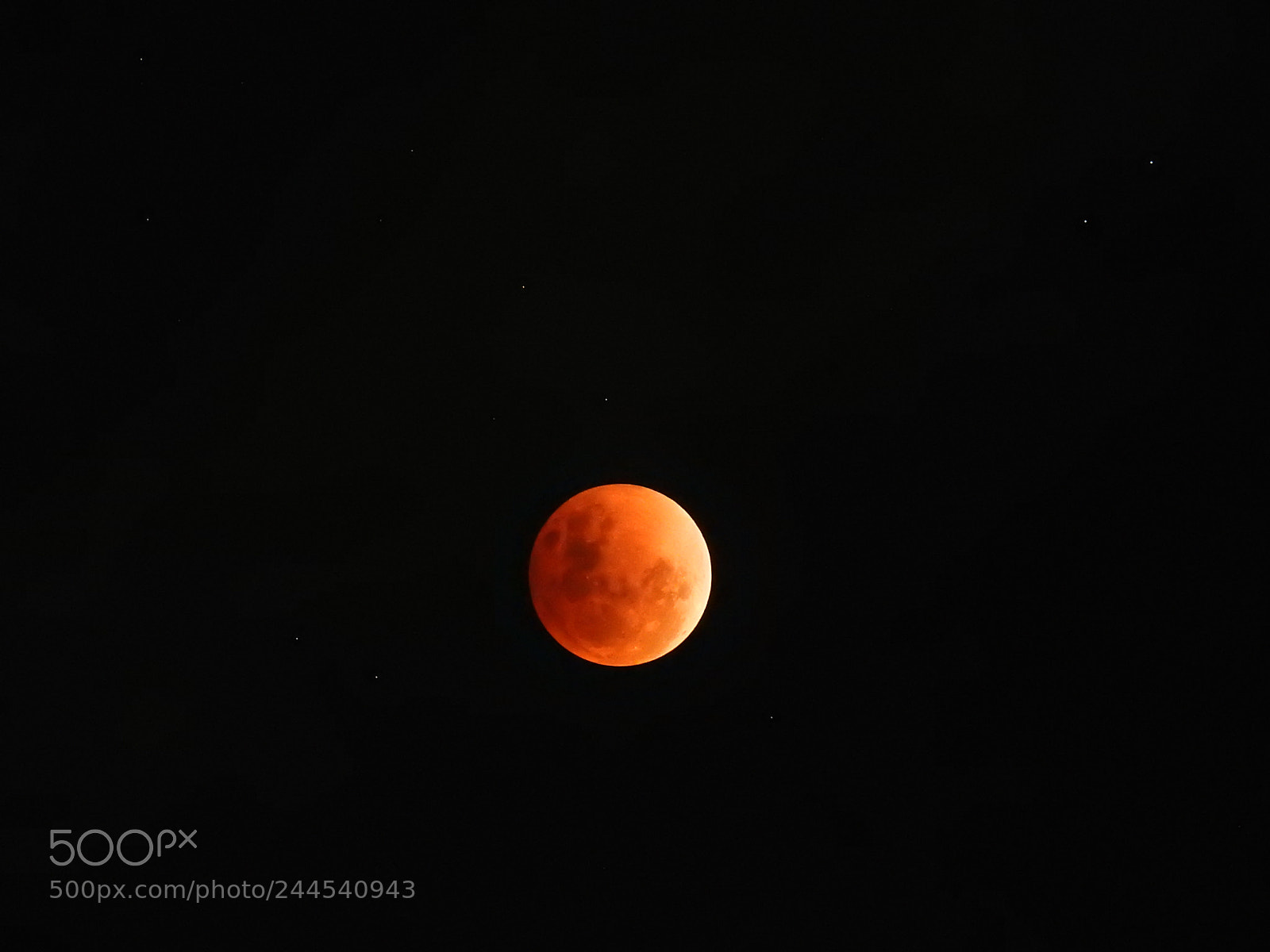 Nikon Coolpix P900 sample photo. Super blue blood moon photography