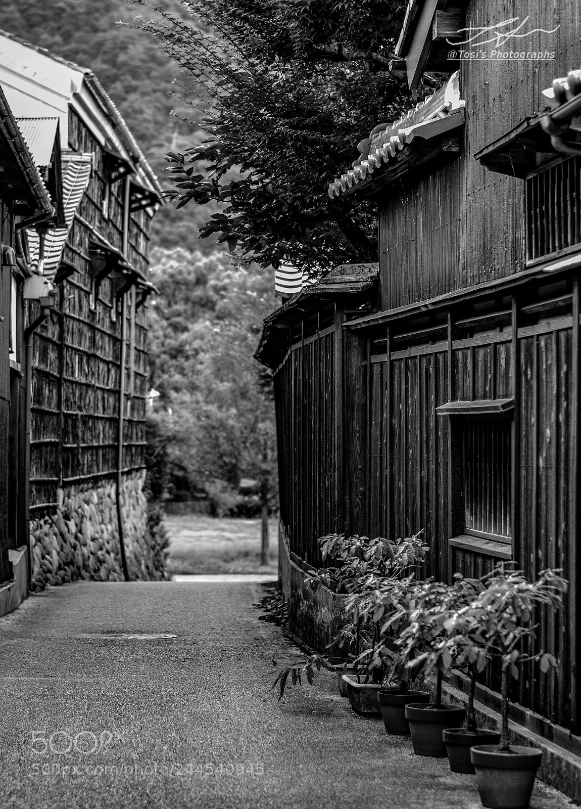 Nikon D810 sample photo. 路地 photography